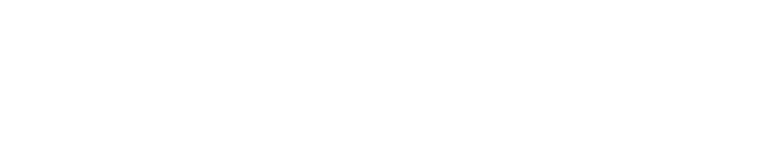 Shapiro Medical Group logo